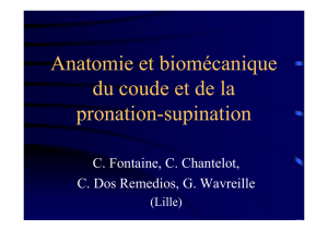 Anatomie et biomecanique coude prono-supination C