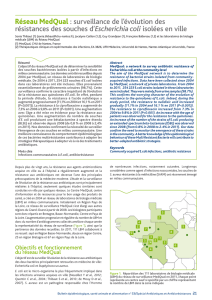 La rhinotrachéite infectieuse bovine (IBR) en France en 2011