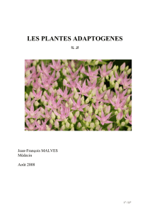 les plantes adaptogenes