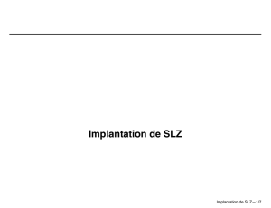 Implantation de SLZ