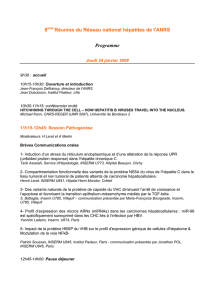 Programme de la 8e Réunion du Réseau national hépatites de l`ANRS