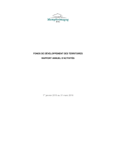 Rapport annuel d`activités, Fonds de développement des territoires