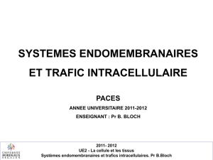 Systèmes endomembranaires et trafic intracellulaire