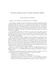 Diversité génétique dans le modèle Mendelien diploïde