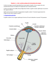 Chapitre 1 - L`oeil, système optique de la formation