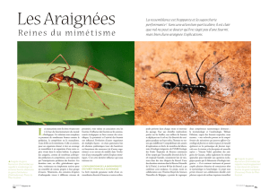 Les Araignées, Reines du mimétisme (PDF Available)
