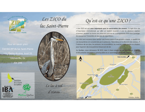 Les ZICO du lac Saint-Pierre - Comité ZIP du lac Saint