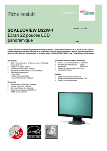 SCALEOVIEW D22W-1 Ecran 22 pouces LCD panoramique