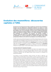 Evolution des mammifères : découvertes capitales à l`UNIL