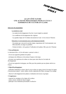 Fiche enseignant cycle 3