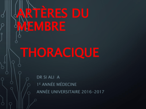 Artères-du-membre_1 (PDF, 5.09 Mo) - facmed-univ-oran