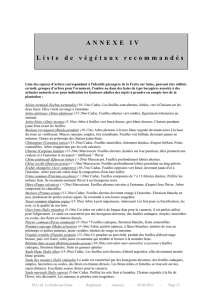 LFsS-PLU Règlement - Varrêt