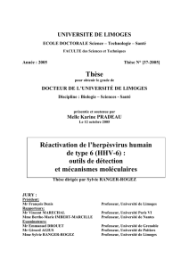 HHV-6 - Epublications - Université de Limoges