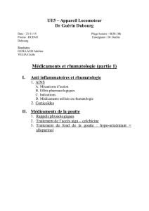 D1-ue5-Guérin-Dubourg-Medicaments_et_rhumatologie_PDF