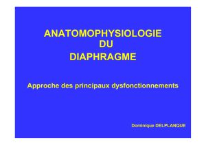anatomophysiologie du diaphragme - delplanque