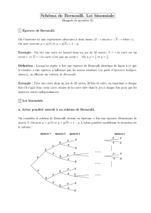 Schéma de Bernoulli. Loi binomiale