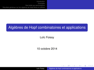 Algèbres de Hopf combinatoires et applications
