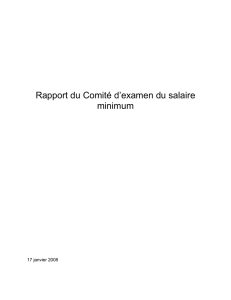 Rapport du Comité d`examen du salaire minimum