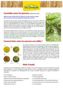 Coccinelles contre les pucerons (Adalia bipunctata) Mode d`emploi