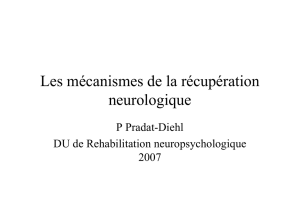 Les mécanismes de la récupération neurologique