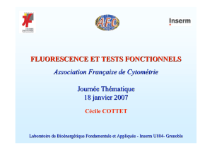 FLUORESCENCE ET TESTS FONCTIONNELS Association