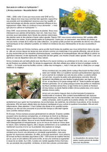 Que peut-on cultiver en hydroponie ? L`Arnica montana – Noucetta