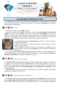 les maladies virales du chat - Clinique Vétérinaire Innovet