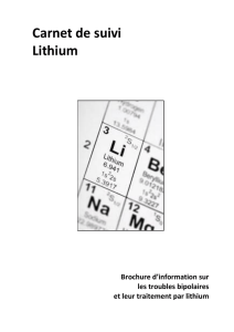 Carnet de suivi Lithium