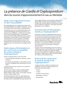 La présence de Giardia et Cryptosporidium