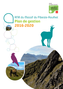 Plan de gestion 2016-2020 - RNR Pibeste