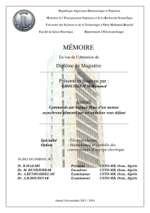 mémoire - Université des Sciences et de la Technologie d`Oran