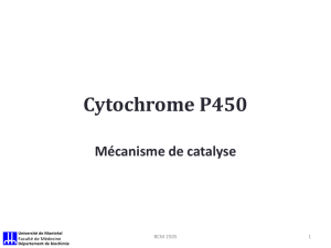 Cytochrome P450 - ESI - Université de Montréal