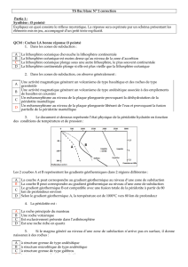 TS Bac blanc N° 2 correction Partie 1 : Synthèse : (5 points