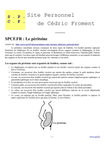 Le péritoine au format PDF