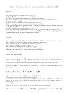 Calculs de distances entre une matrice et certaines parties de Mn(IR