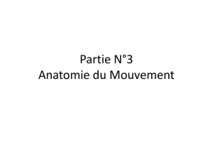 Partie N°3 Anatomie du Mouvement