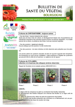 rencontres horticoles jardin botanique