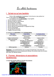 La cellule bactérienne - Pages Persos Chez.com