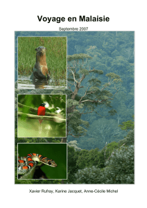 oiseaux, reptiles, amphibiens et mammifères