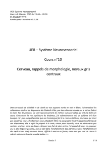 UE8 – Système Neurosensoriel Cours n°10 Cerveau, rappels de