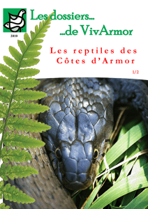 Les reptiles des Côtes d`Armor(1-2)
