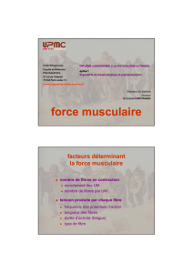 force musculaire - CHUPS – Jussieu