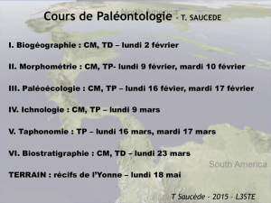 Cours de Paléontologie – T. SAUCEDE