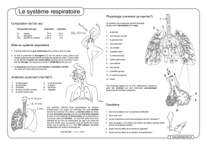 Systeme_respiratoire_files/Système respiratoire