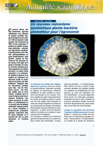 IRD fiche scientifique n°269 - Un nouveau mécanisme symbiotique