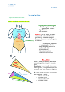 Anatomie coeur poumons par Marine - ifsi du chu de nice 2012-2015