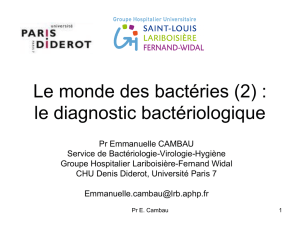 Le monde des bactéries (2) : le diagnostic bactériologique