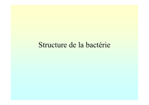 (Microsoft PowerPoint - Structure bact\351rie.ppt [Read