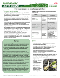 Soybean Seed and Seedling Diseases