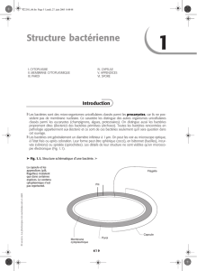 Bacteriologie medicale